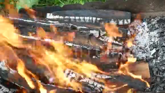 火焰舌的柴火视频的预览图