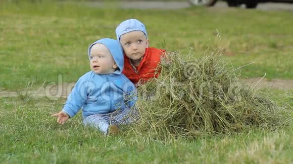 两个男孩互相玩和干草不到一年再过两年视频的预览图