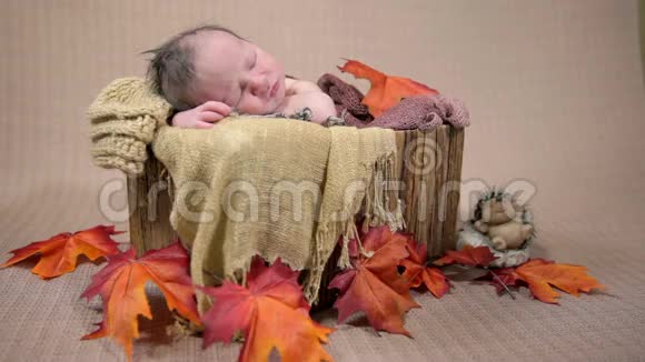 睡在秋装床上的婴儿总镜头视频的预览图