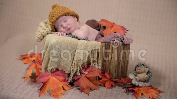 宝宝躺在秋天的床上有棕色和红色的叶子视频的预览图