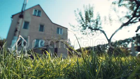 阳光明媚的一天乡间小屋前绿草如茵视频的预览图