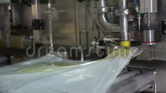 葵花籽油铸造用输送机视频的预览图