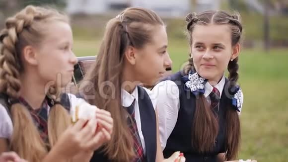 女大学生穿着同样的校服坐在花园里的长凳上吃三明治笑着视频的预览图