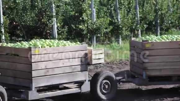 拖拉机运送装满苹果水果的木制容器视频的预览图