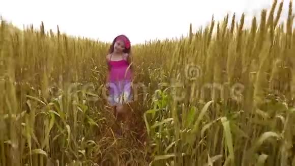 快乐地在阳光下在麦田里奔跑女孩穿过黄色的麦田视频的预览图
