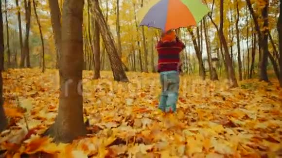 快乐的小男孩正在伞下的秋天公园里散步视频的预览图