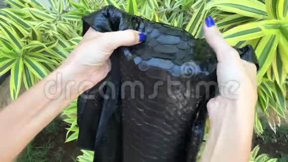 蛇皮奇葩皮子黑蟒豪华的蟒皮巴厘岛视频的预览图
