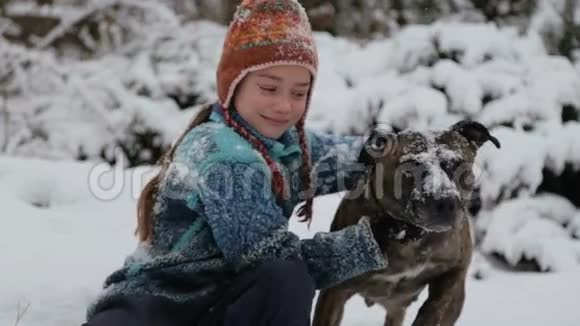公园冬天带着一只猎犬的婴儿画像一个男孩在冬天和一只狗玩视频的预览图