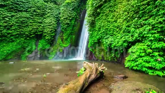 4K时程蒙杜克瀑布附近的水中老树2015年7月15印度尼西亚巴厘视频的预览图