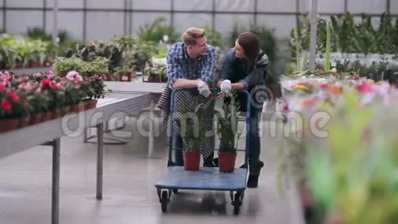 温室里有两个带手推车的花店视频的预览图