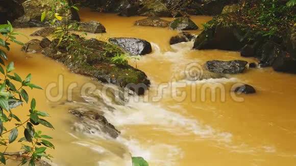 一条来自达坦拉的小河落在丛林里黄色的水视频的预览图