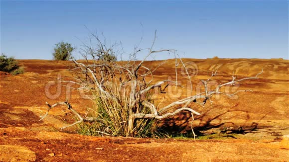 澳大利亚内陆沙漠视频的预览图