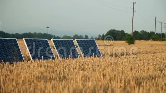 一个小女孩在金色的田野上用太阳能发电站视频的预览图