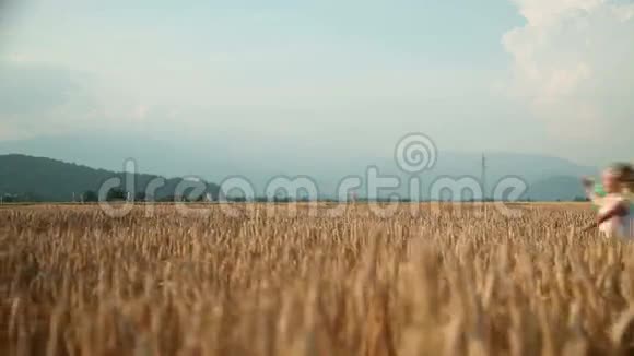 小女孩跑在金色的田野上带着五颜六色的蝴蝶结视频的预览图