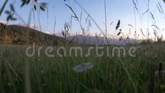 夏天的草甸和日落时的比利牛斯山法国视频的预览图