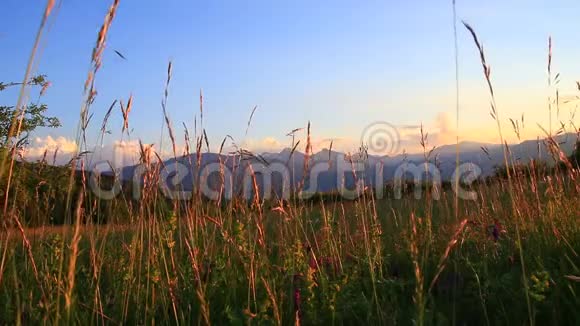 夏天的草甸和日落时的比利牛斯山法国视频的预览图