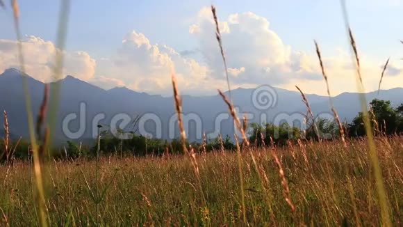 夏天的草甸和日落时的比利牛斯山法国视频的预览图