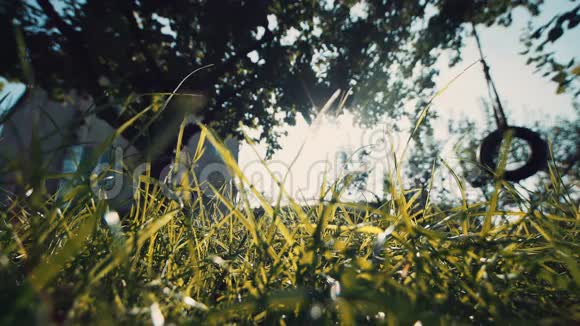 阳光明媚的一天乡间小屋前绿草如茵视频的预览图