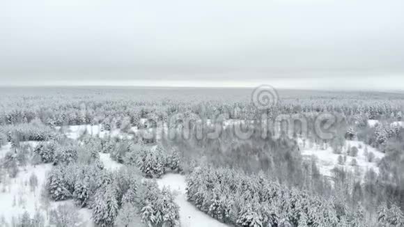 4K飞行上方冬季森林北部高空俯视视频的预览图