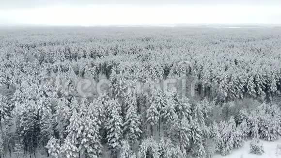 4K飞行上方冬季森林北部高空俯视视频的预览图