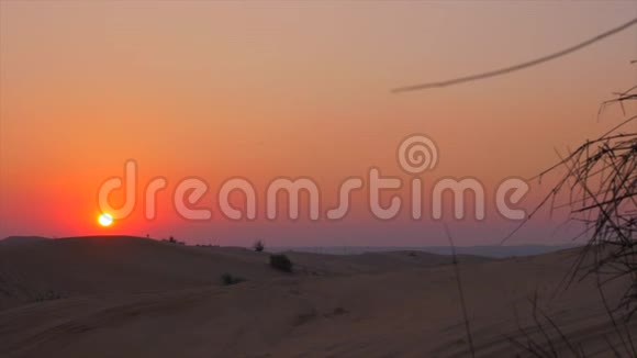 傍晚日落背景沙丘和沙漠景观视频的预览图