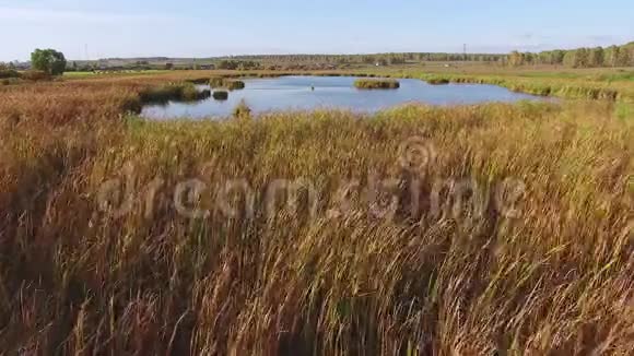 秋湖藤木黄草山水空中观景视频的预览图