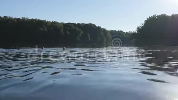 人们在湖里游泳两个人夏天在池塘或河里并肩游泳视频的预览图