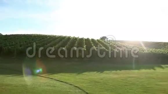 在葡萄酒场和高尔夫球场驾驶的特殊阳光反射镜头视频的预览图