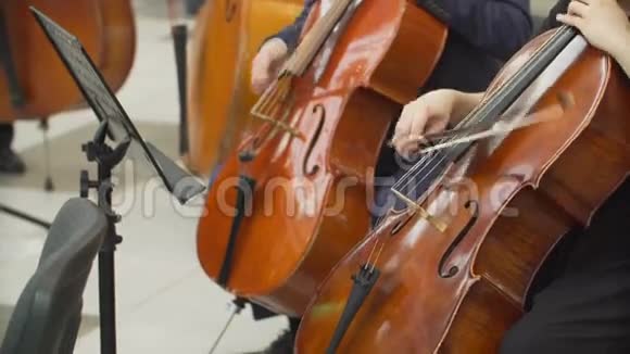 演奏大提琴的音乐家们的手视频的预览图