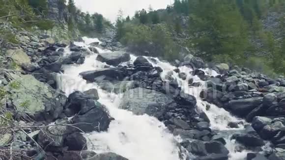 阿尔泰库切尔拉俄罗斯2018年6月20日冷山河当前河流的门槛岩石和树木蓝色视频的预览图