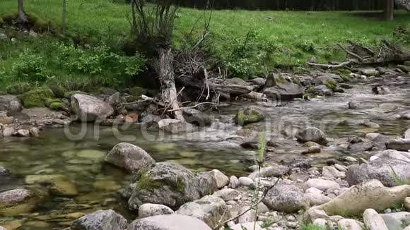 小山河湍急的水流河岸边的树木视频的预览图
