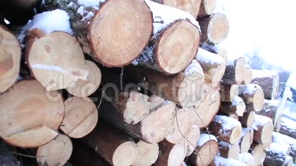 冬天的雪木堆木材松木瓦片视频的预览图