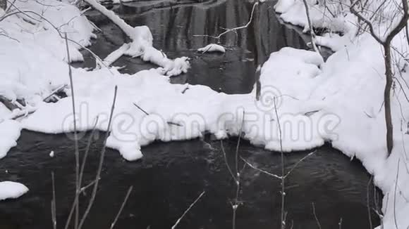 春流自融雪江岸覆冰雪雪覆冬林视频的预览图