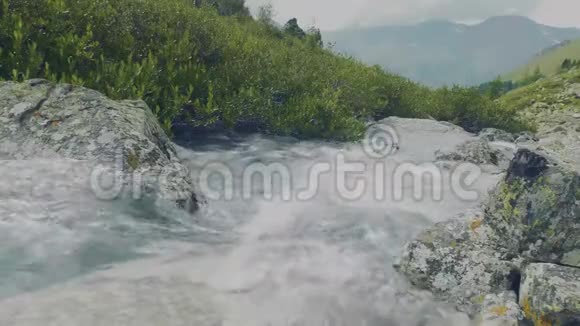 阿尔泰库切尔拉俄罗斯2018年6月20日冷山河当前河流的门槛岩石和树木蓝色视频的预览图