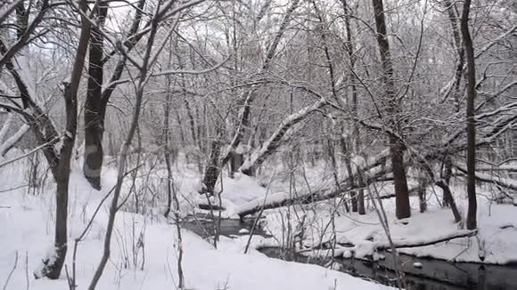 江在冬林中春流自融雪春涝在林中视频的预览图
