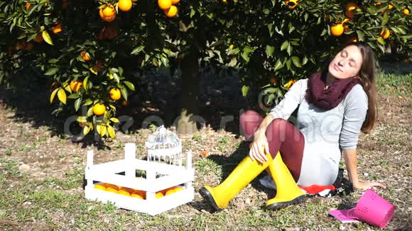 坐在橘子树下的漂亮女孩视频的预览图