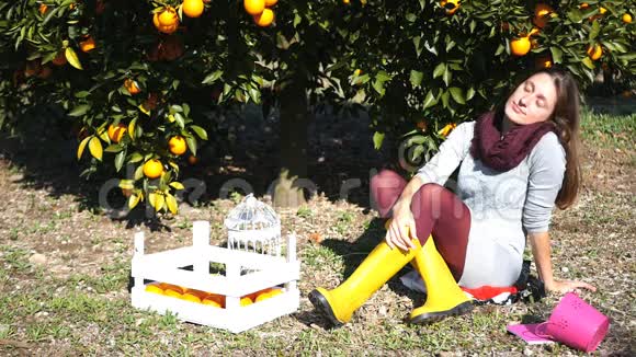 坐在橘子树下的漂亮女孩视频的预览图