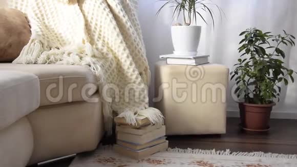 相机在舒适的沙发上摆放着手工毛毯和书籍视频的预览图