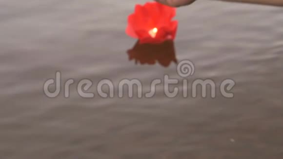 不同颜色的睡莲和蜡烛视频的预览图