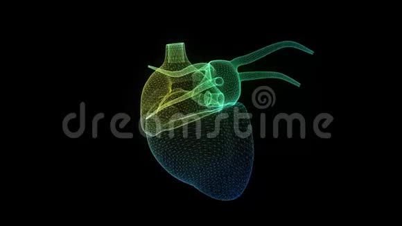 人的心脏形成从抽象的多边形线三维数字技术可视化虚拟模型无缝环视频的预览图