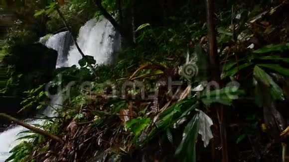 热带雨林中的瀑布高清高清视频的预览图