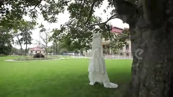 白色婚纱挂在城堡附近的一棵树上视频的预览图