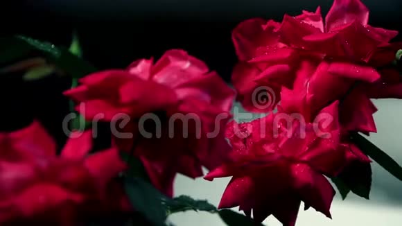 高清红玫瑰和年轻夫妇在按摩浴缸度过浪漫时光视频的预览图