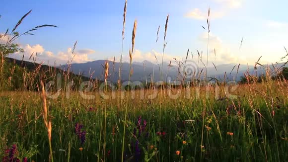 夏天的草甸和日落时的比利牛斯山法国视频的预览图
