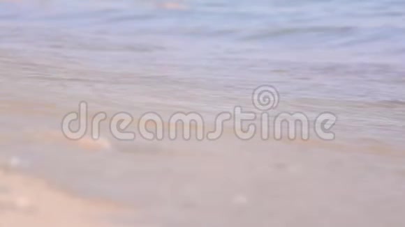 脚赤脚在潮湿的沙滩上行走视频的预览图