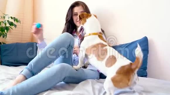 女孩和狗躺在床上玩耍视频的预览图