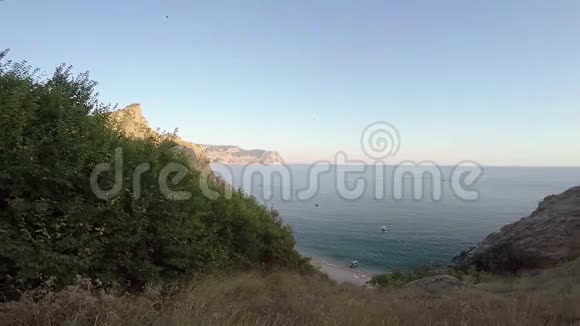 傍晚海湾的海景前景是植物视频的预览图