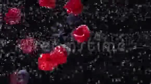 水果和浆果掉在水里视频的预览图