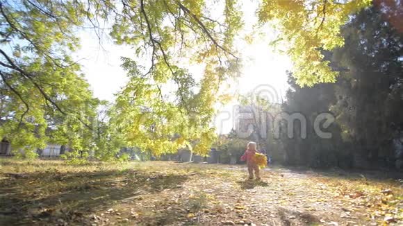 小女孩在公园里散步孩子捧着一束黄叶视频的预览图