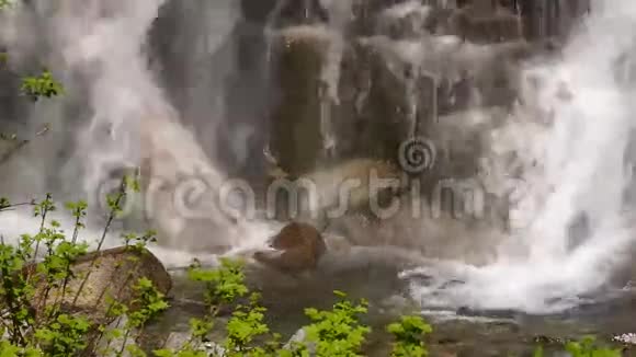 奔流的水落到洛基基地哥伦比亚峡谷瀑布视频的预览图